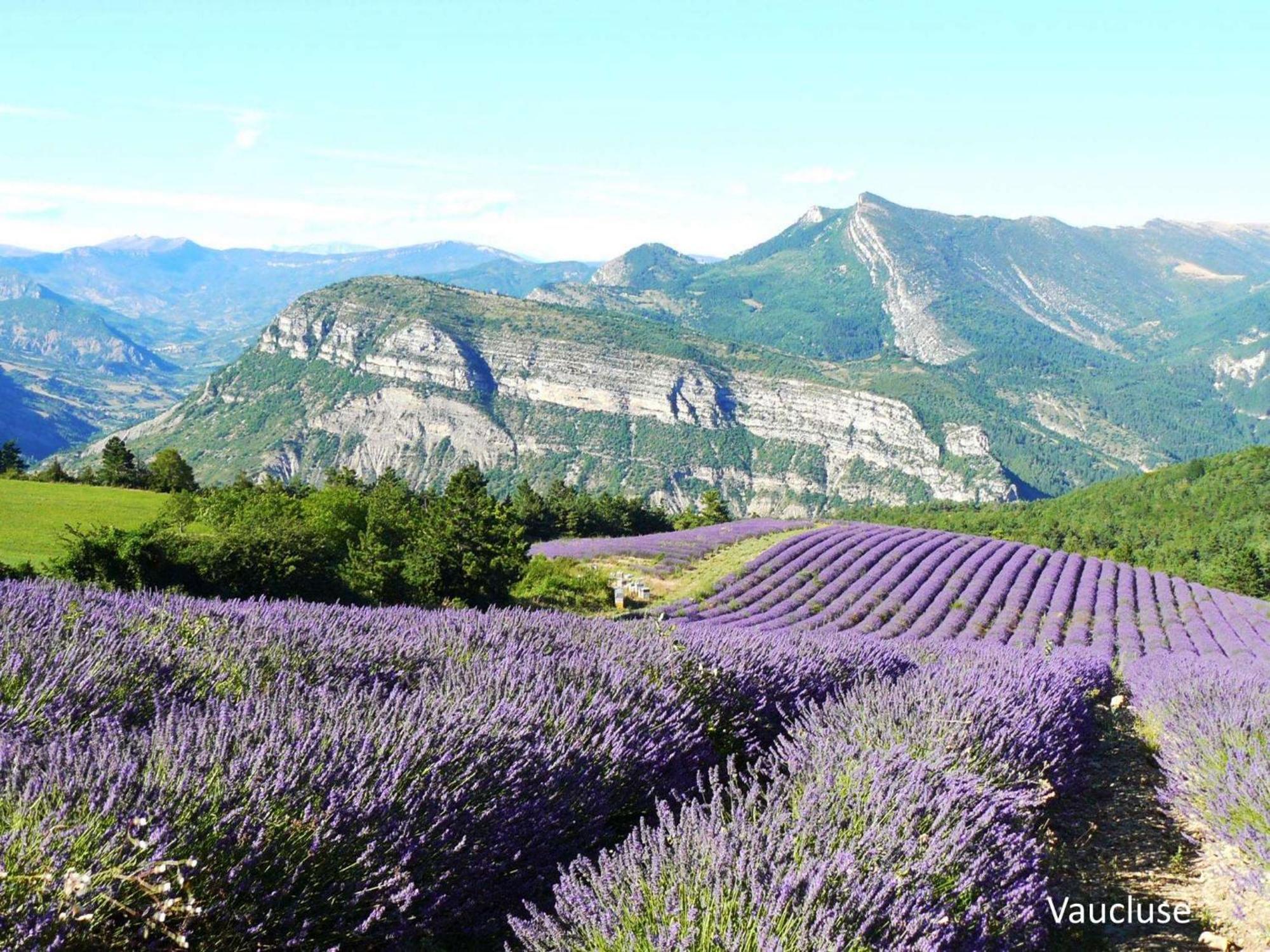 "La Massette Du Cheval Blanc" Villa De Caractere En Pierre ลีล-ซูร์-ลา-ซอร์ก ภายนอก รูปภาพ